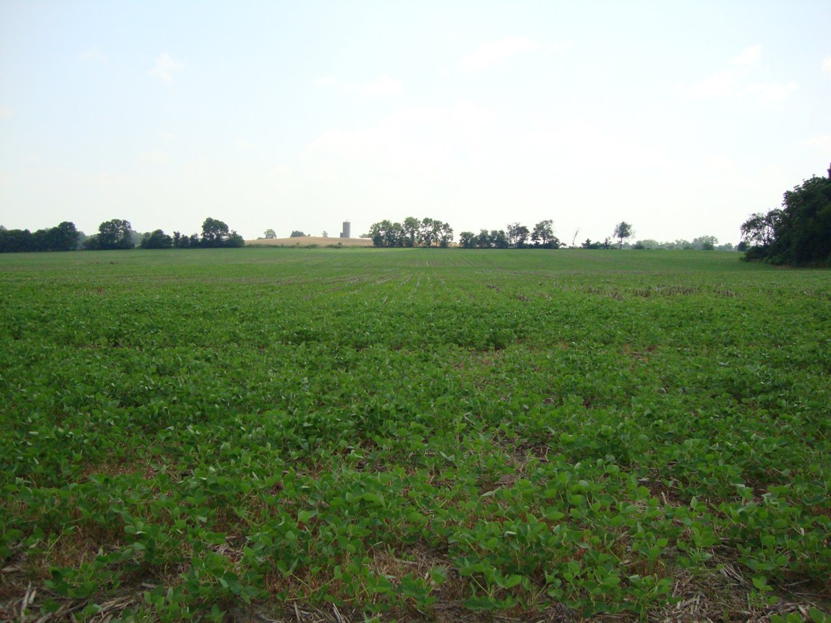Property photo 20 - 160 Acres Offered in 6 Tracts